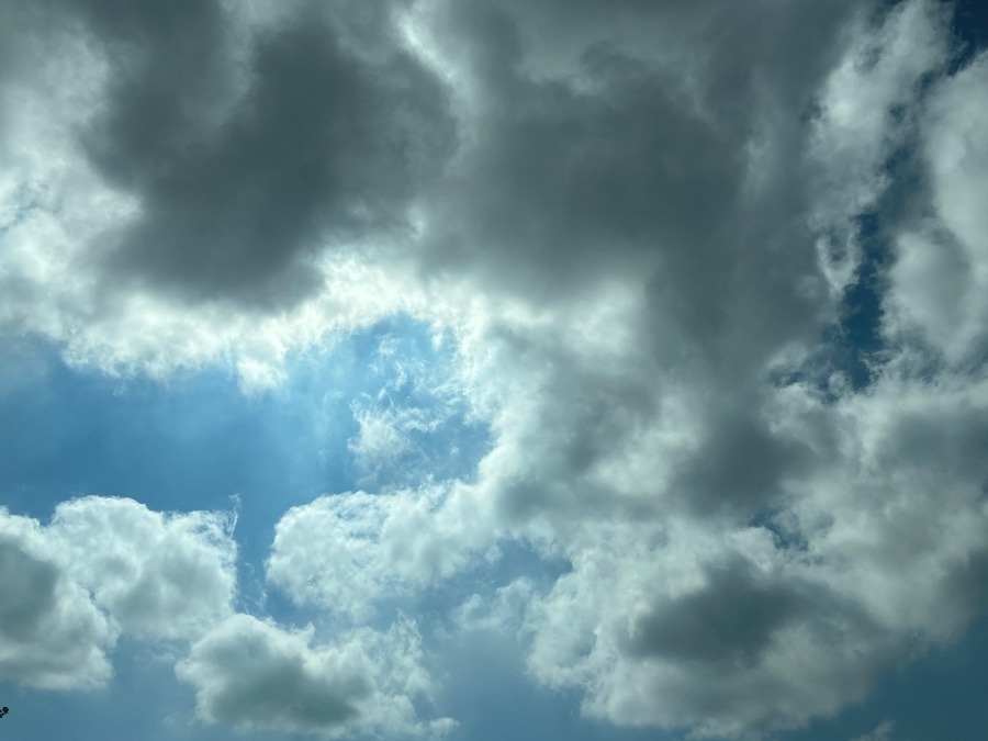 朝の空