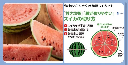 甘さ均等スイカの切り方🍉