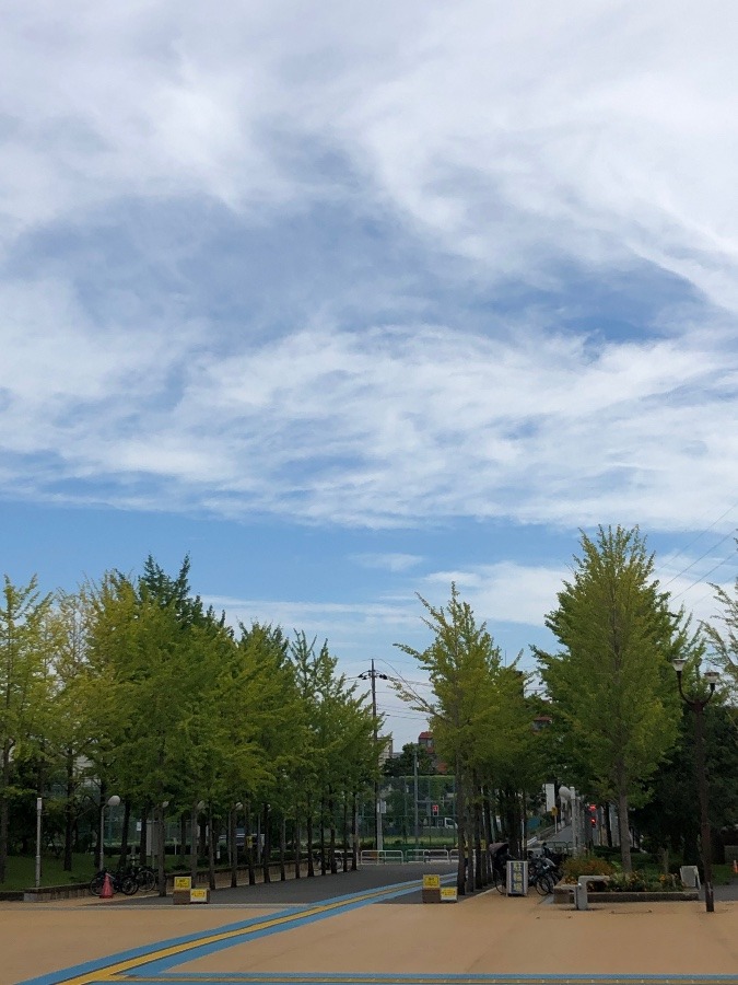 台風後の青空