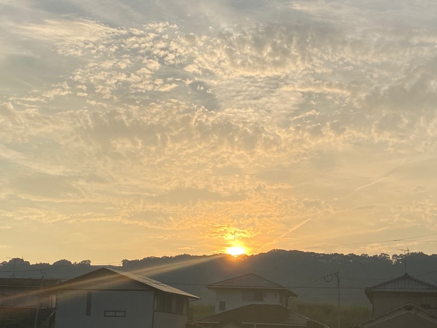 今朝の空　８／4