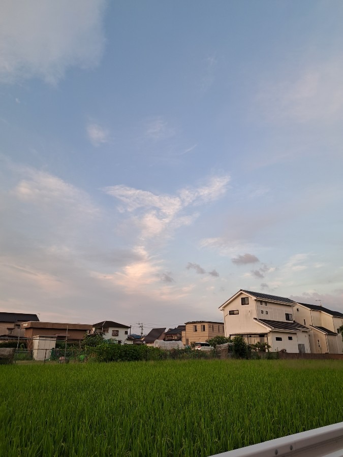 朝散歩の風景　飛びたつ❗