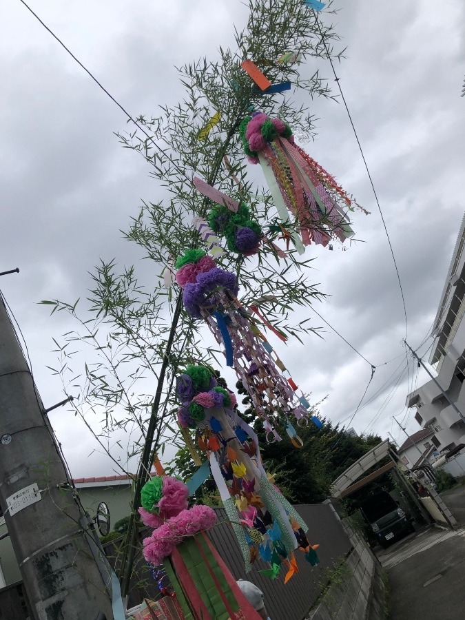 町内会の七夕飾り🎋