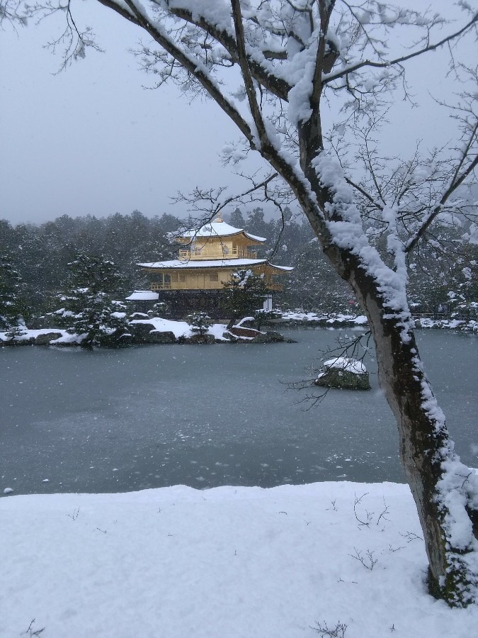 雪の金閣寺