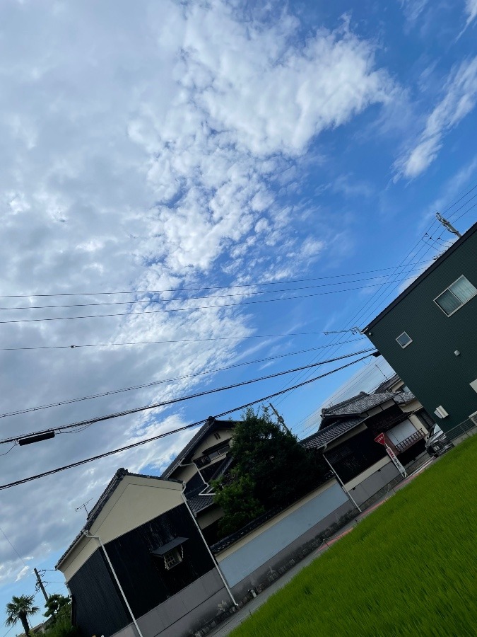 今日の岡崎