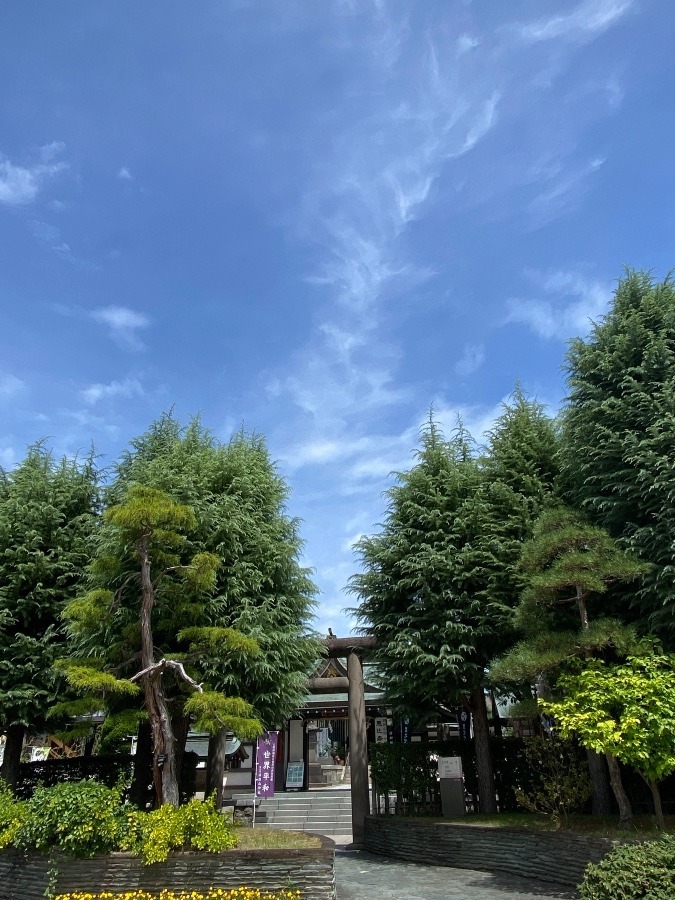 神社参拝⛩🎶❗️