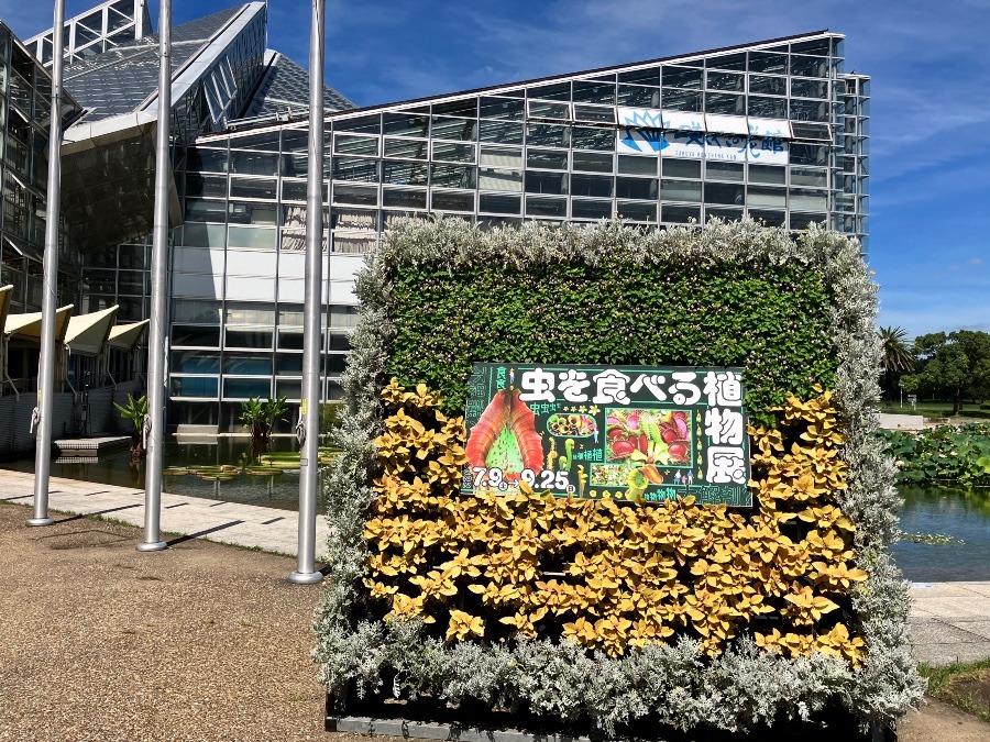 咲くやこの花館