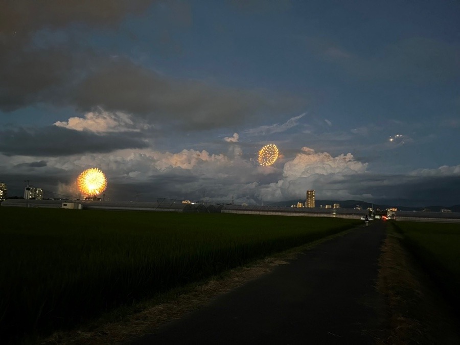 筑後の花火大会🎆