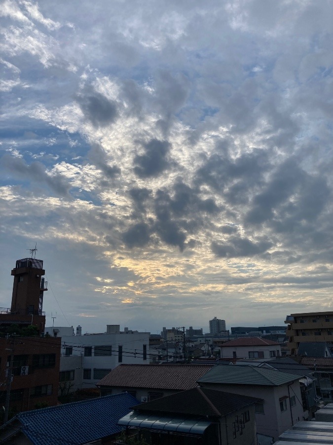 朝だー！