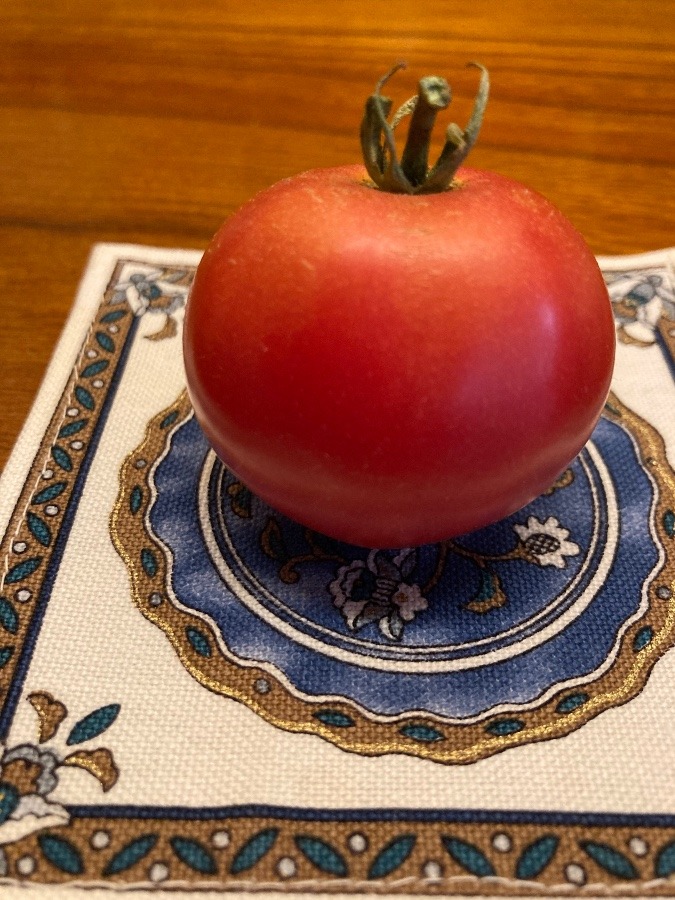 収穫時のミニトマト