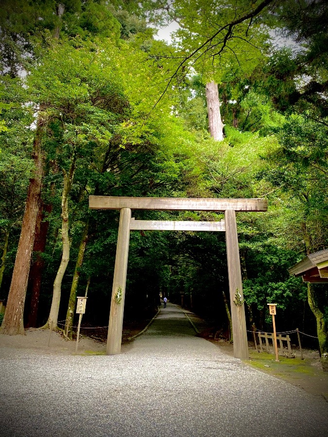 【そうだ神様行こう】