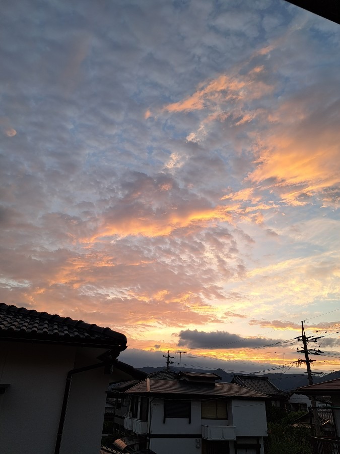 8/26　　夕空