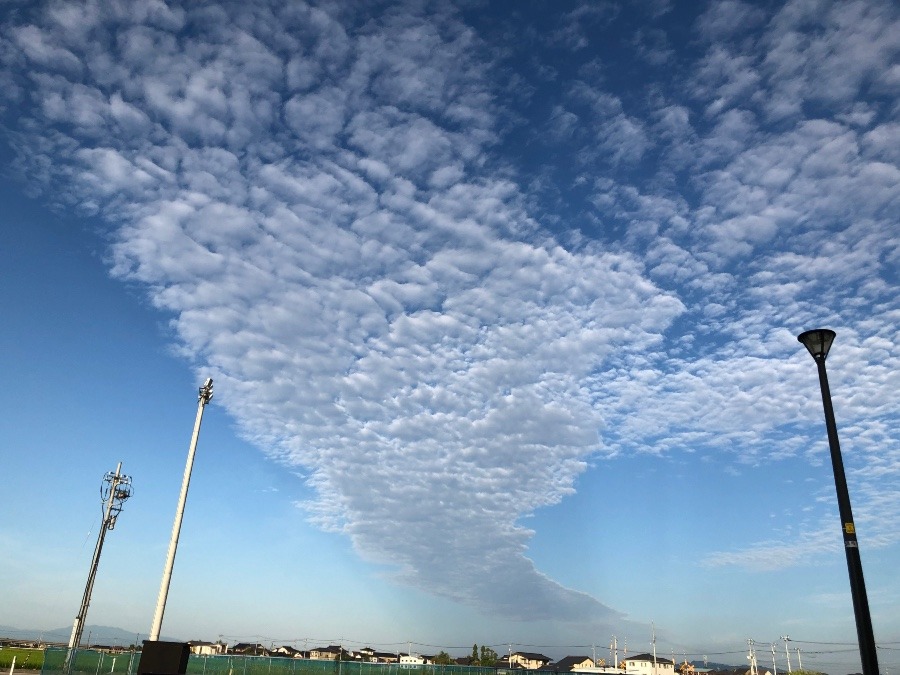 今朝の空