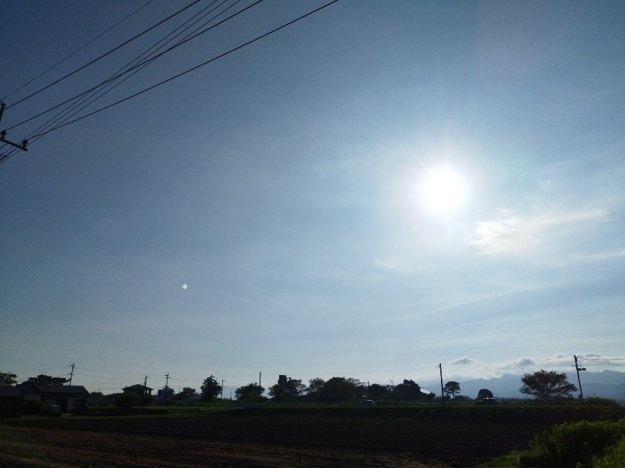 都城市（2022/8/7）　今朝も晴れ☀️暑いです😨❗