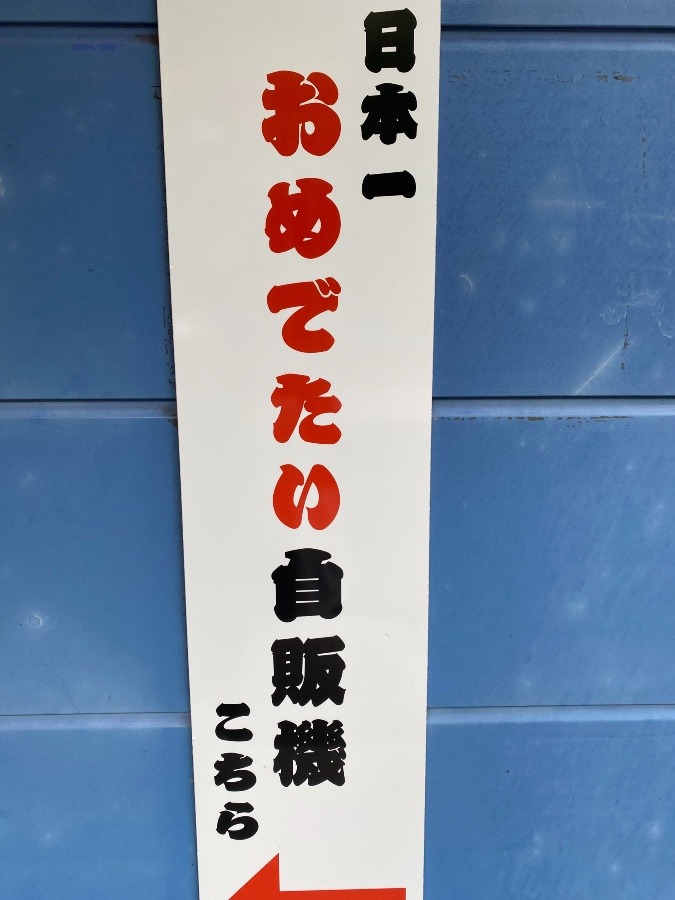 おめでたい🦞鯛    見つけ❣️道の駅阿久根