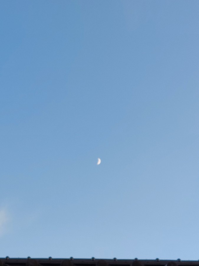 19時前に月