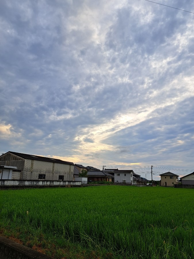 8/12　今朝の空