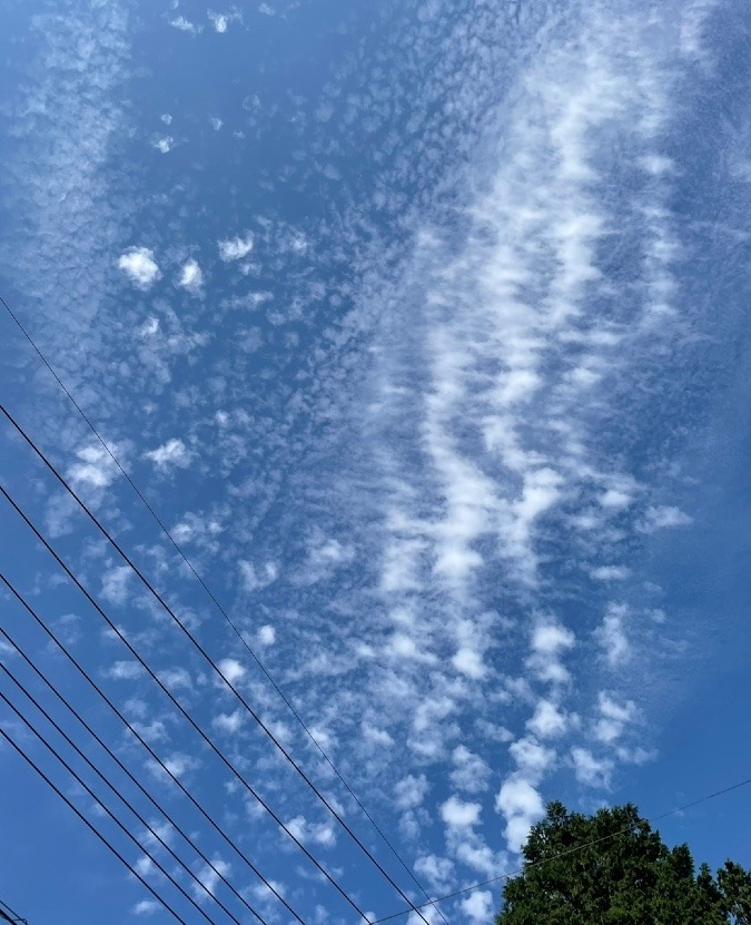 今日の空✨