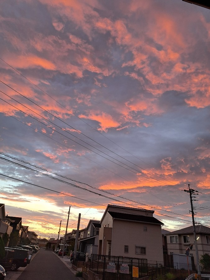 今朝の空