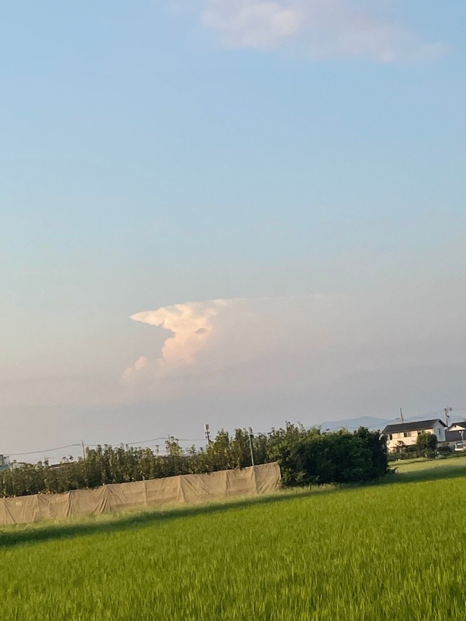 今雲