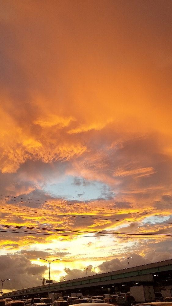 今朝の空