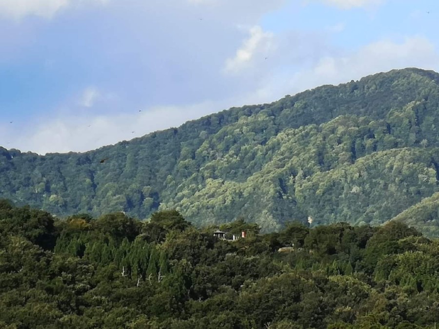 炎の蜃気楼の聖地　鮫ヶ尾城