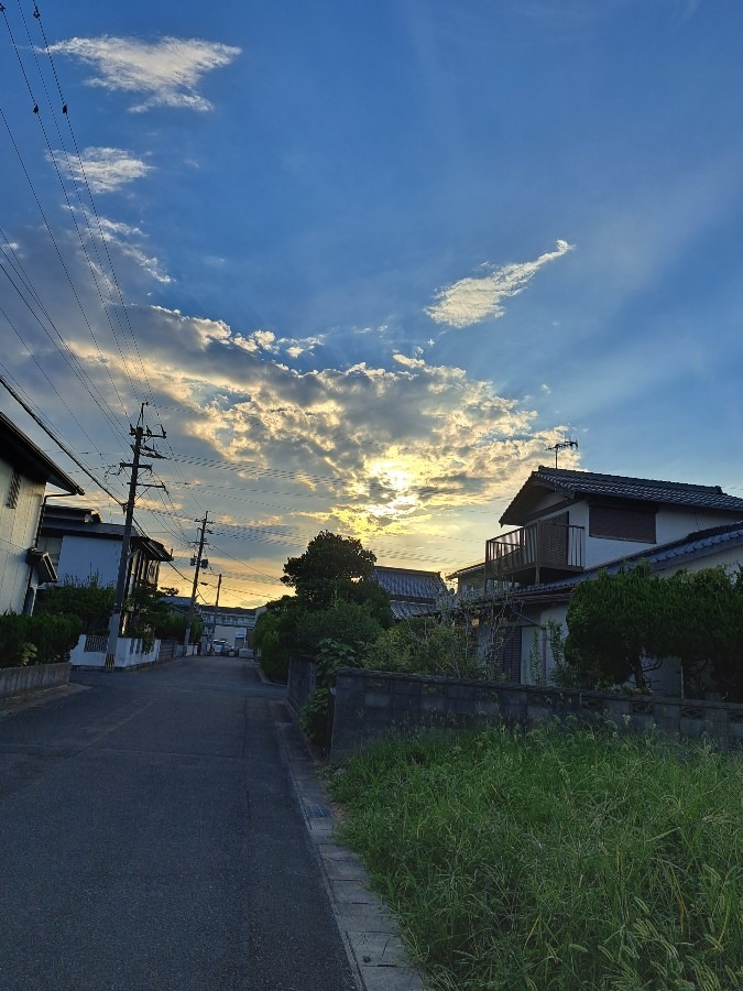 散歩中　今空