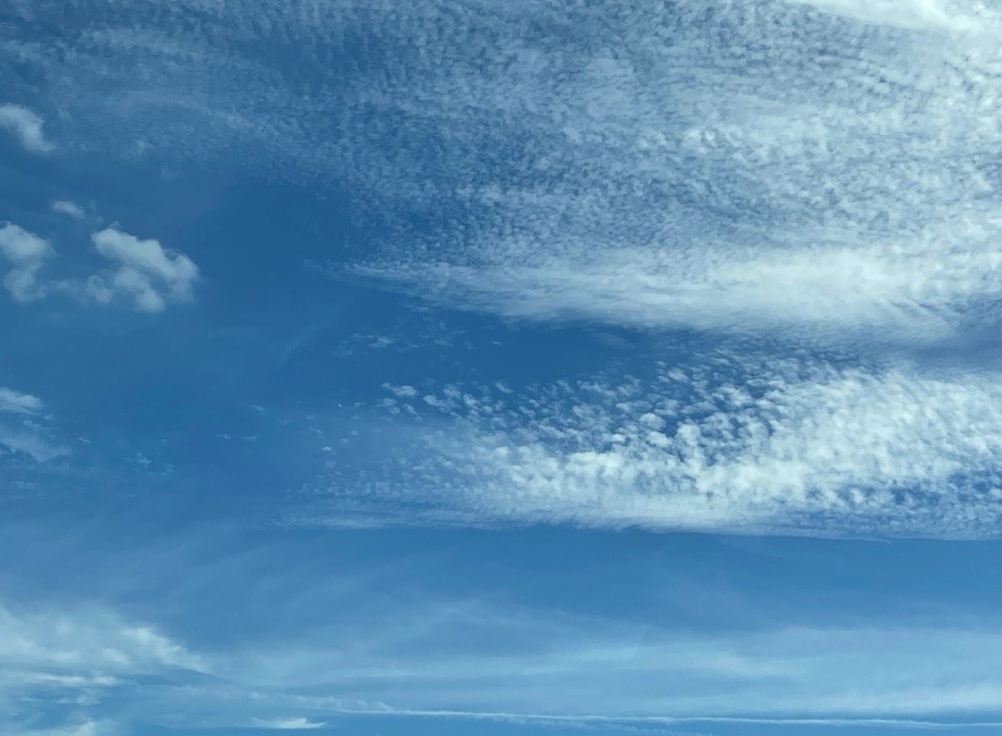 イマソラ🌤