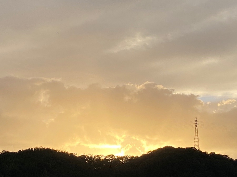 今日は、、