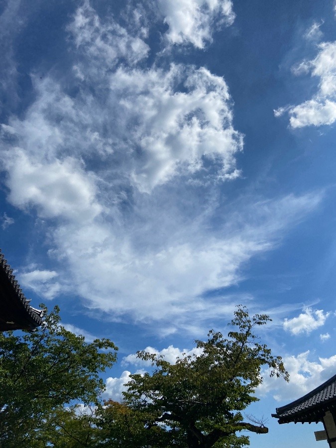 今空