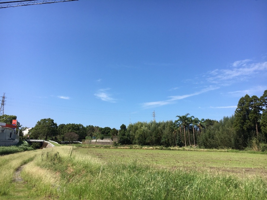 ⭕️空部→   いま空（≧∇≦）‼️137.