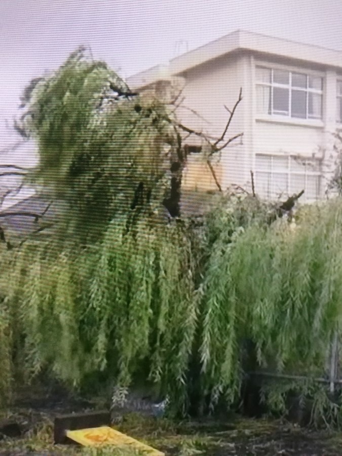 台風！鹿児島県!!