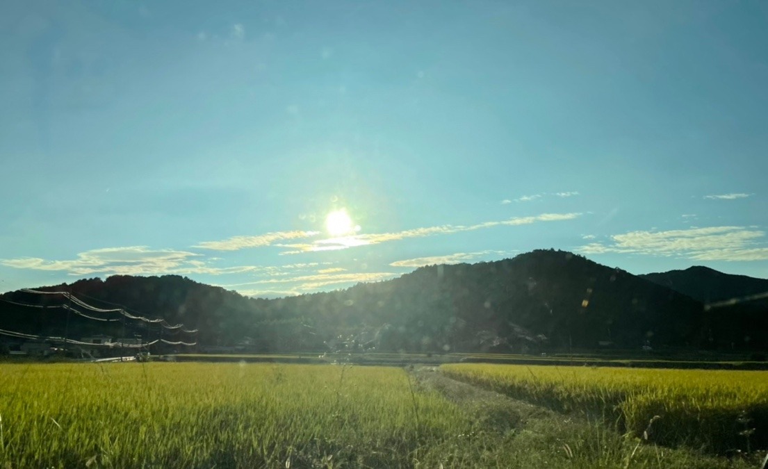 雨が上がり✨