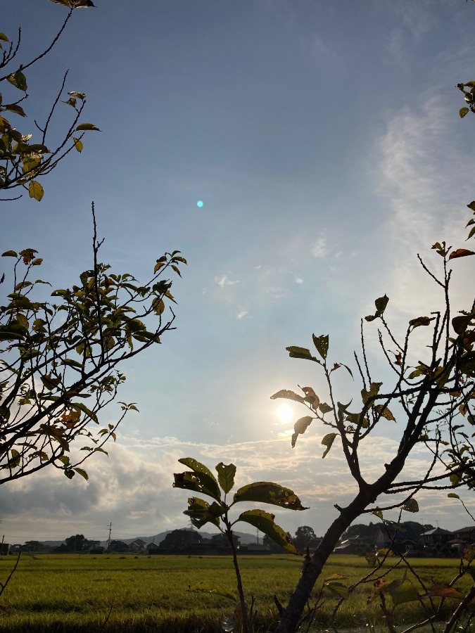 7時の空