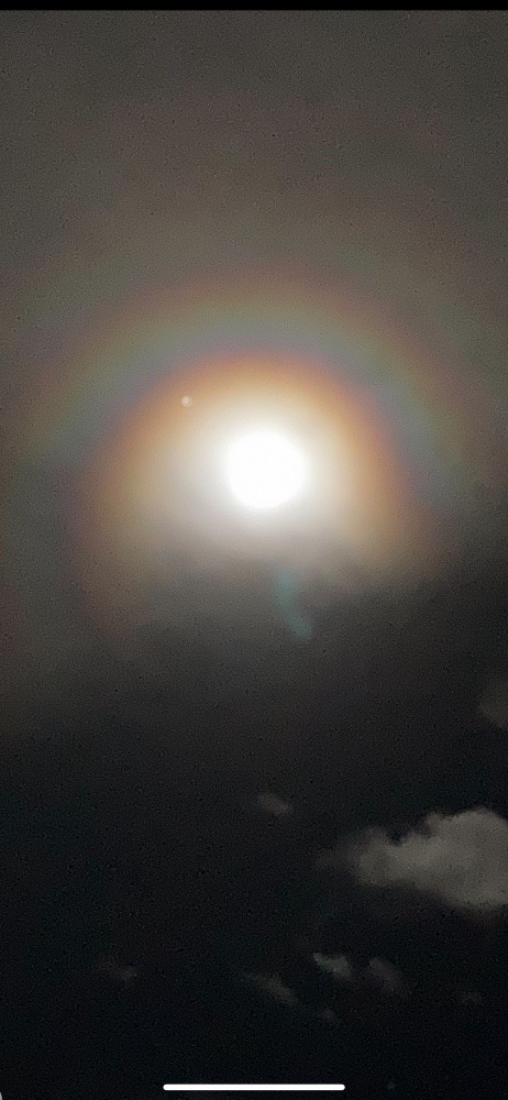 昨夜の月
