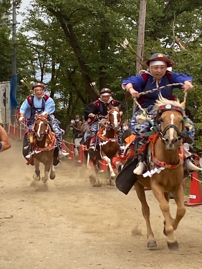 競馬❗️