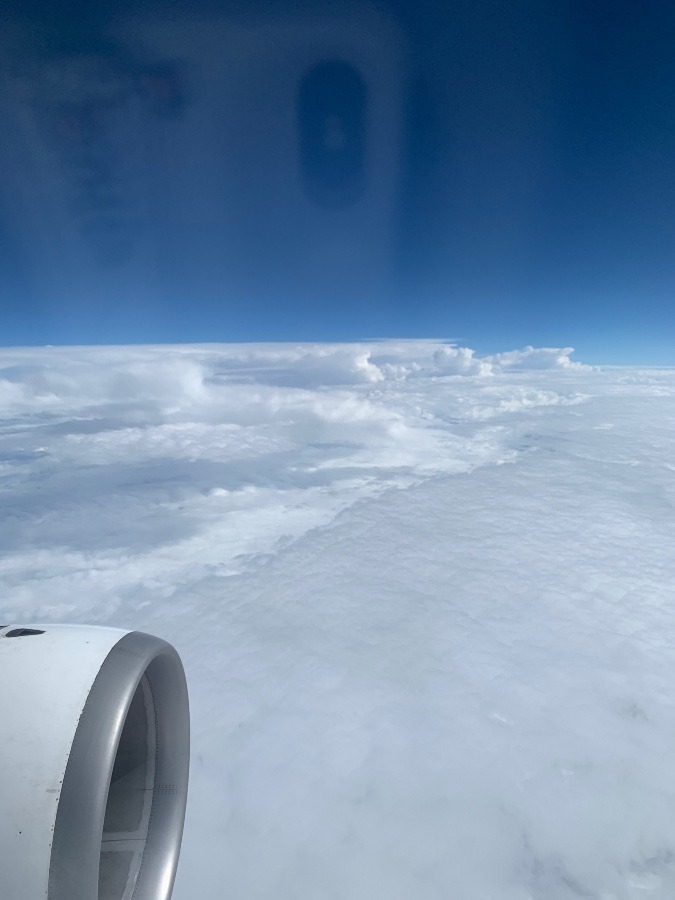 なめらかな雲海、絶好調❗️