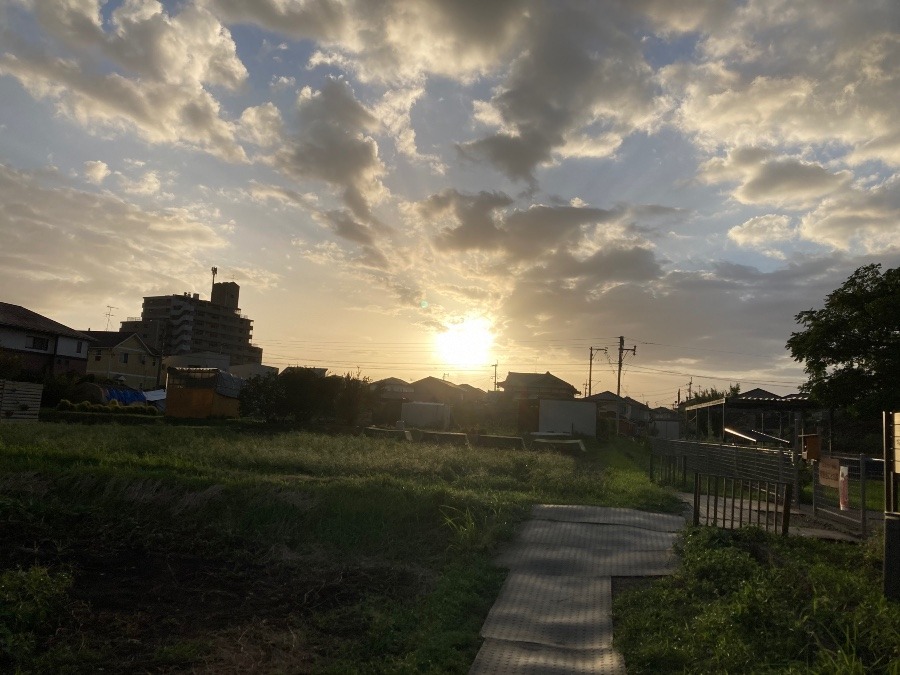 ✨久しぶりの夕陽✨