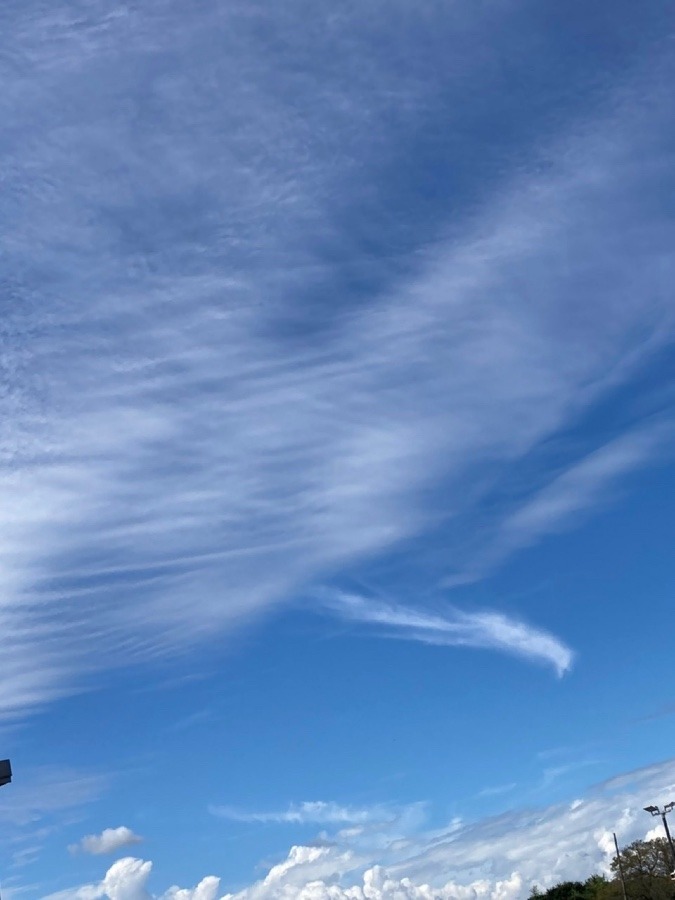 ☁️岐阜市の空☁️