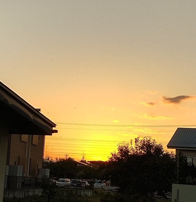 夕焼け🌇🌇🌇