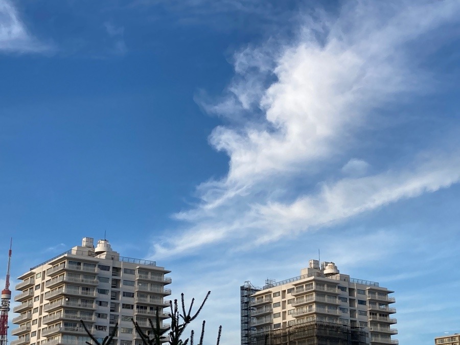 オシャレな雲