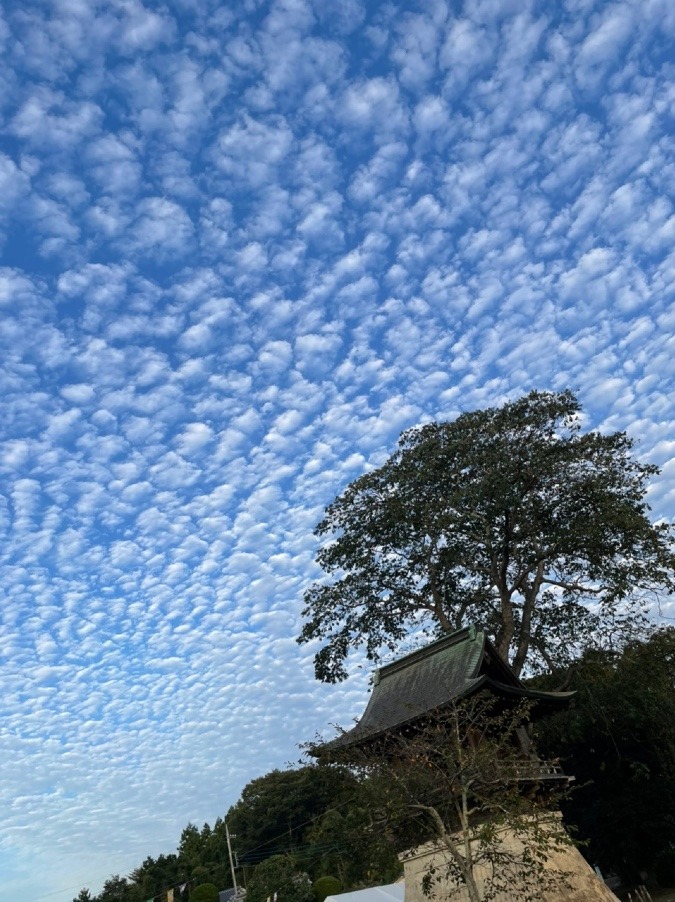 雲が次々と流氷みたいに