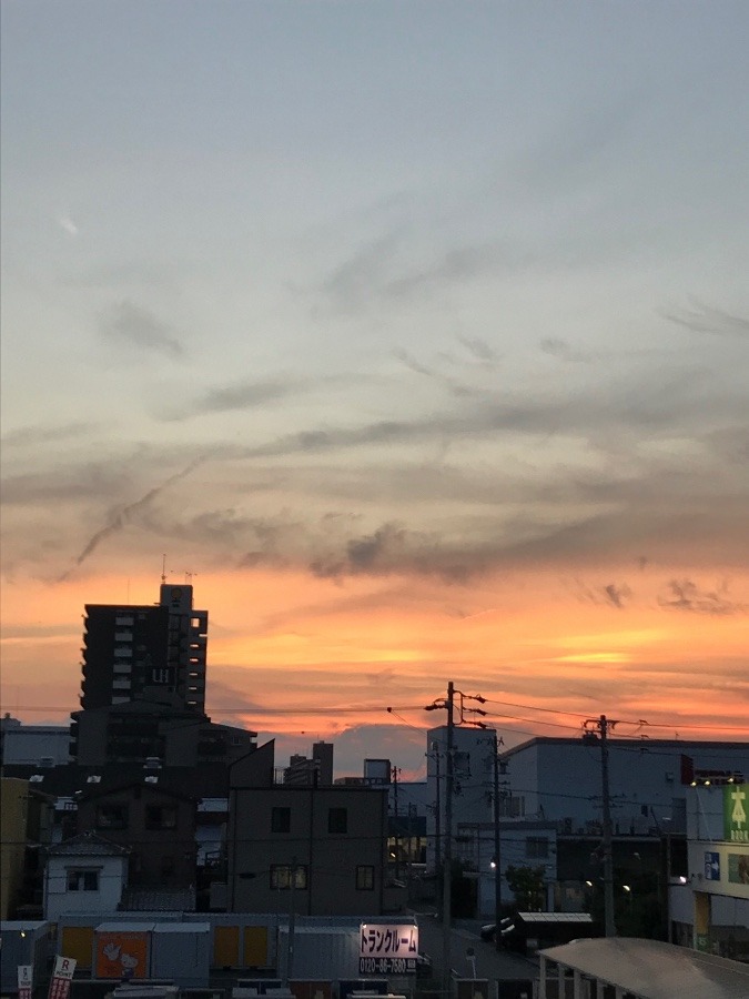 夕暮れ✨