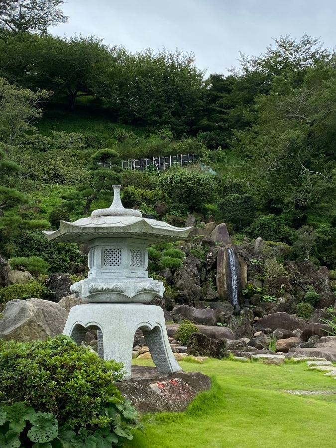 神社の庭🎶🎶🎶