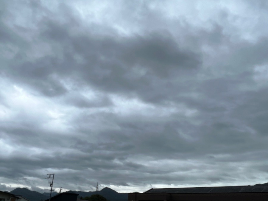 台風一過の朝