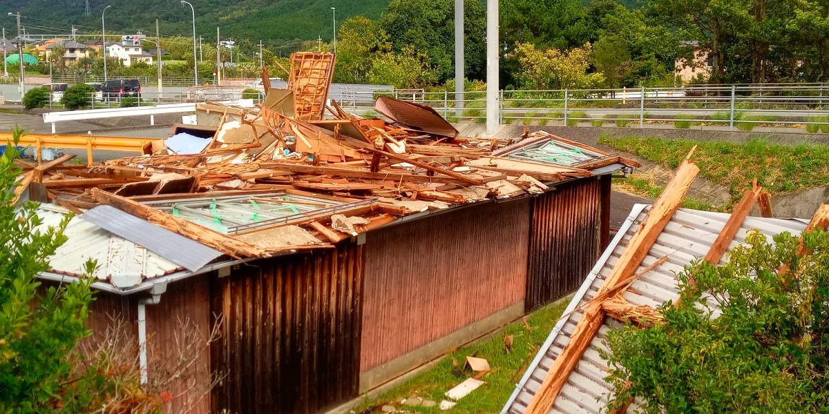 台風🍃🌀☔14号の爪跡😱①