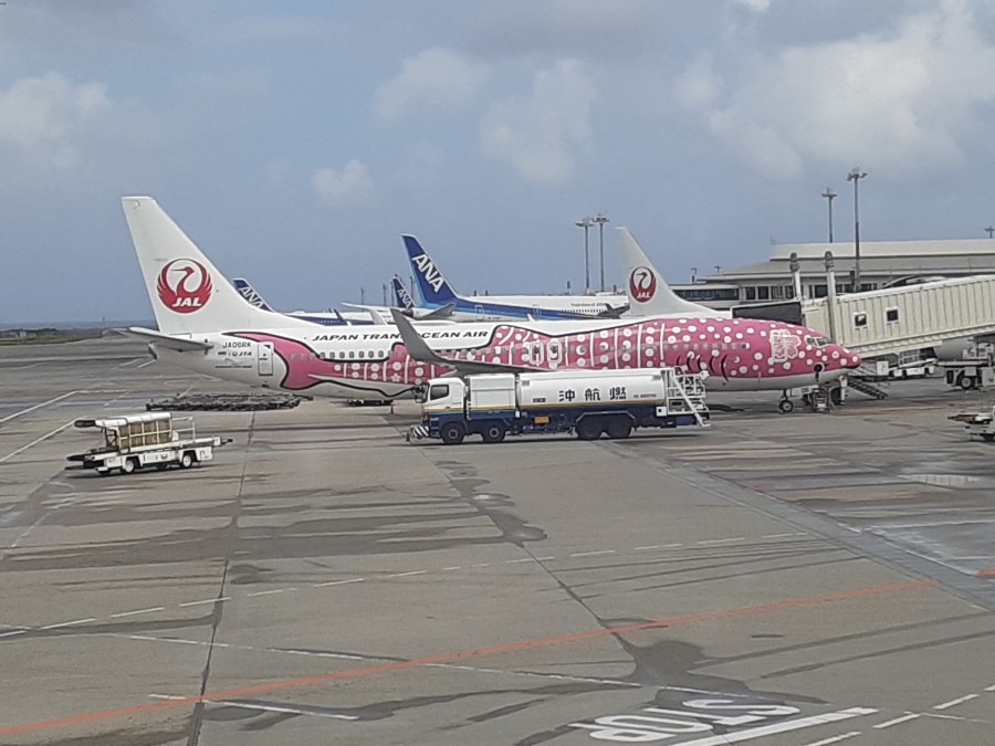 沖縄のジンベイザメ飛行機