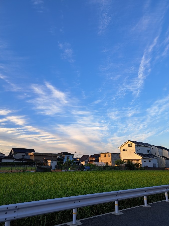 朝の散歩　一ヶ所より