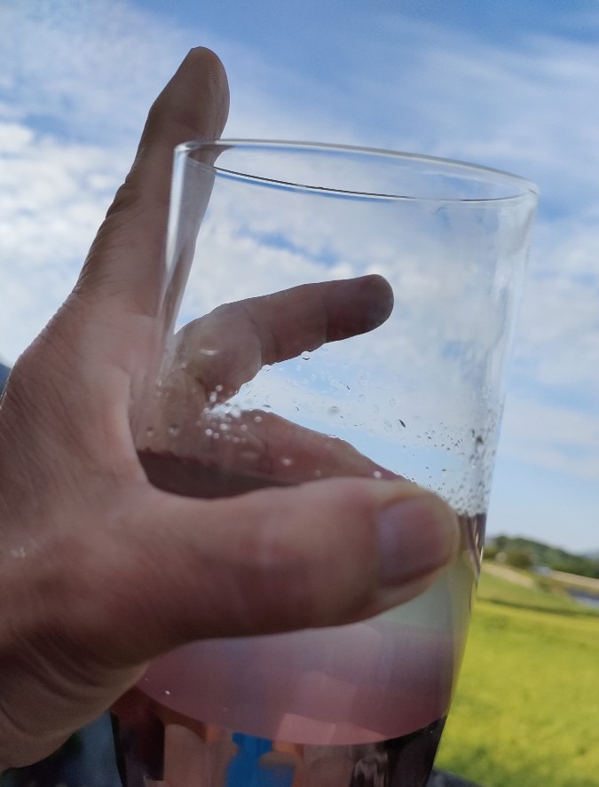 空に向かってピース✌乾杯！