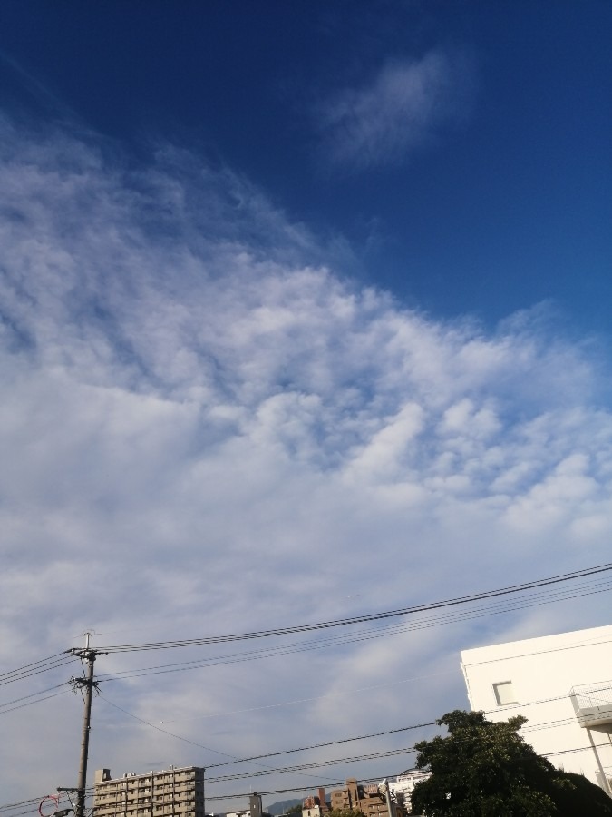 今日の空－9月4日