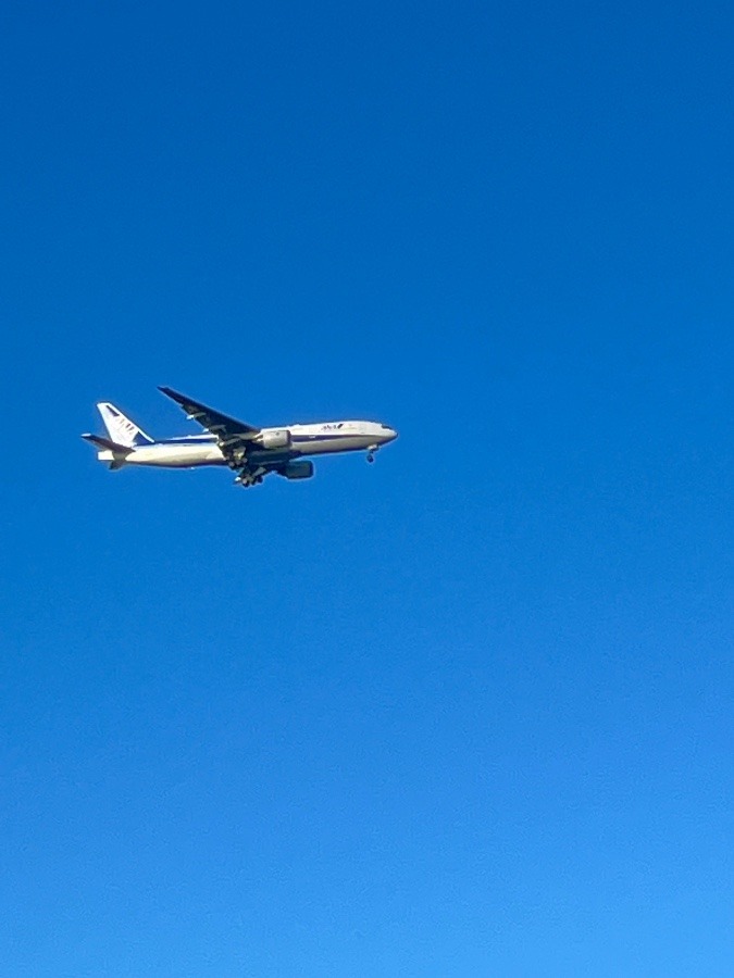 青い空と飛行機